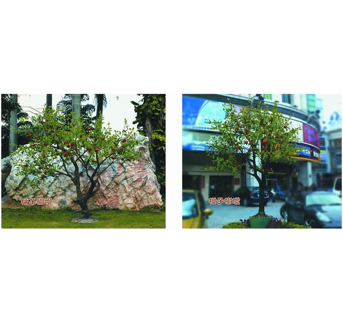 JGD-098~099